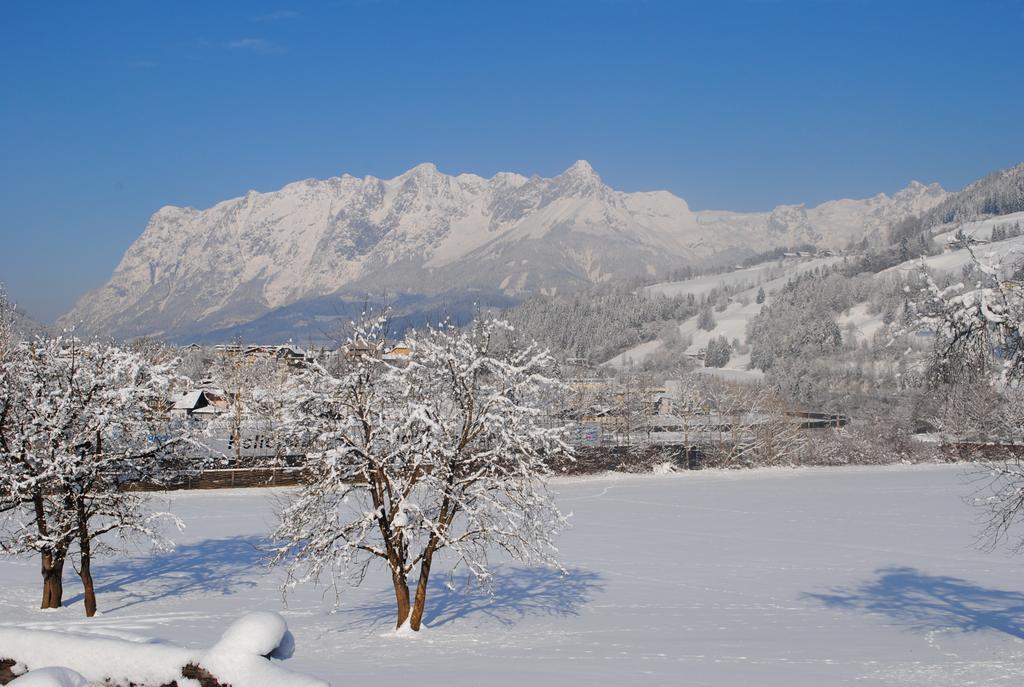 Familien-Bauernhof Neumoar Apartment Sankt Johann im Pongau Luaran gambar