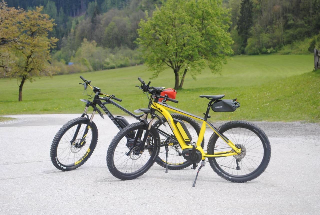 Familien-Bauernhof Neumoar Apartment Sankt Johann im Pongau Luaran gambar